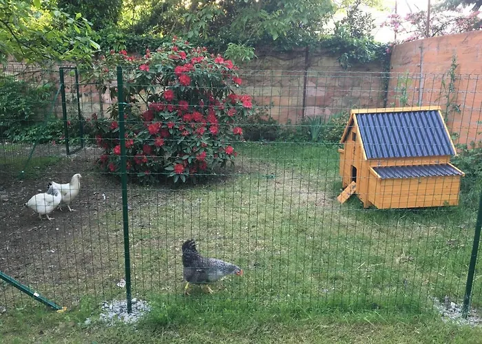 Logis Du Petit Dodo Dom wakacyjny